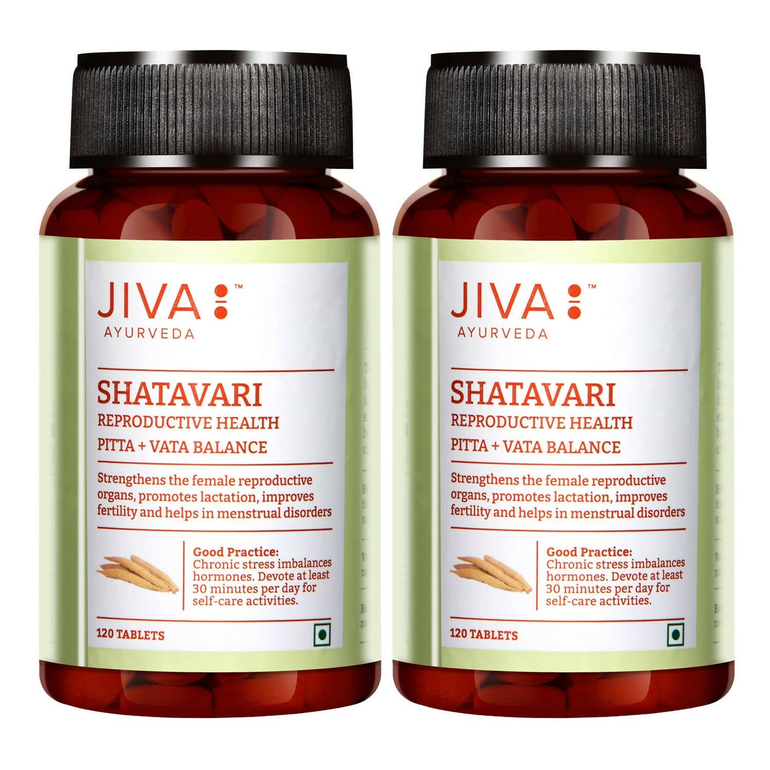 Jiva Ayurveda Shatavari Tablets - Swadesiicart