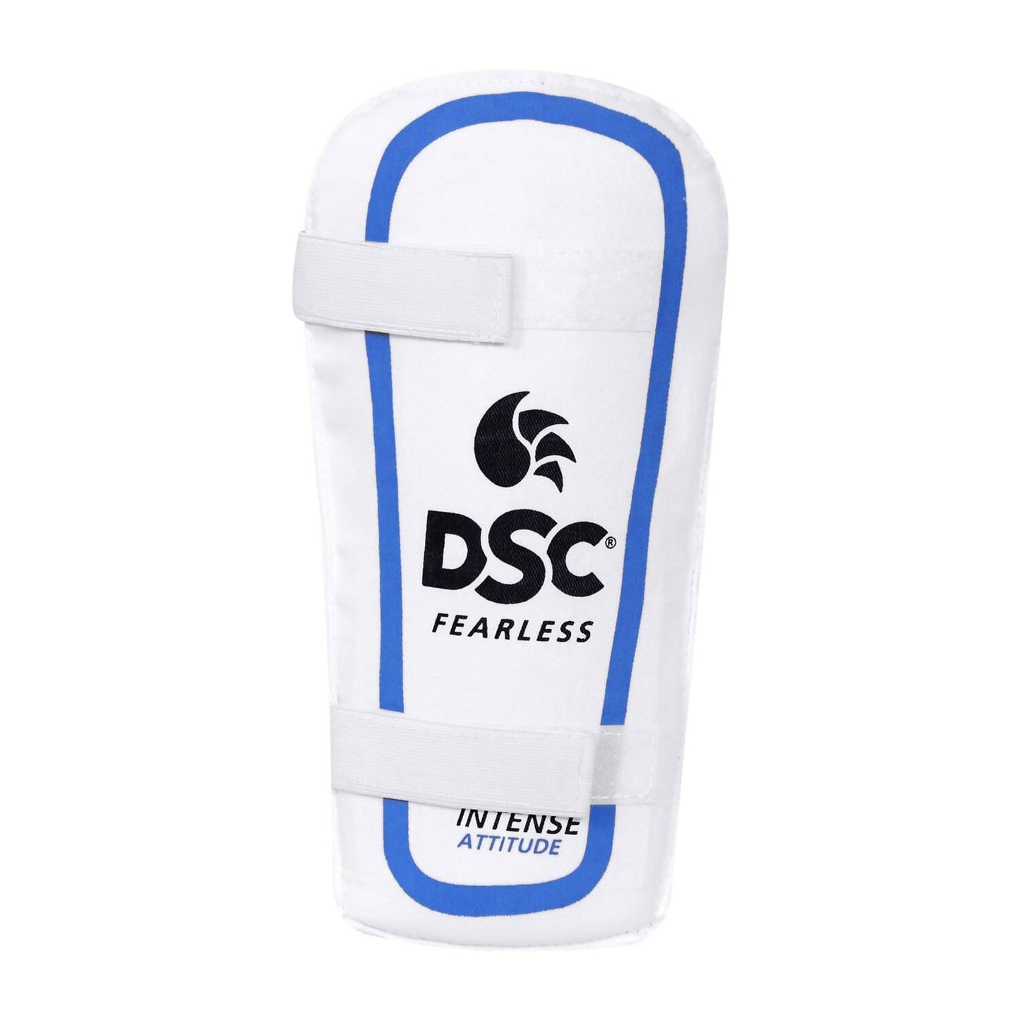DSC Economy Kashmir Willow Cricket Kit (Size 5) - Swadesiicart