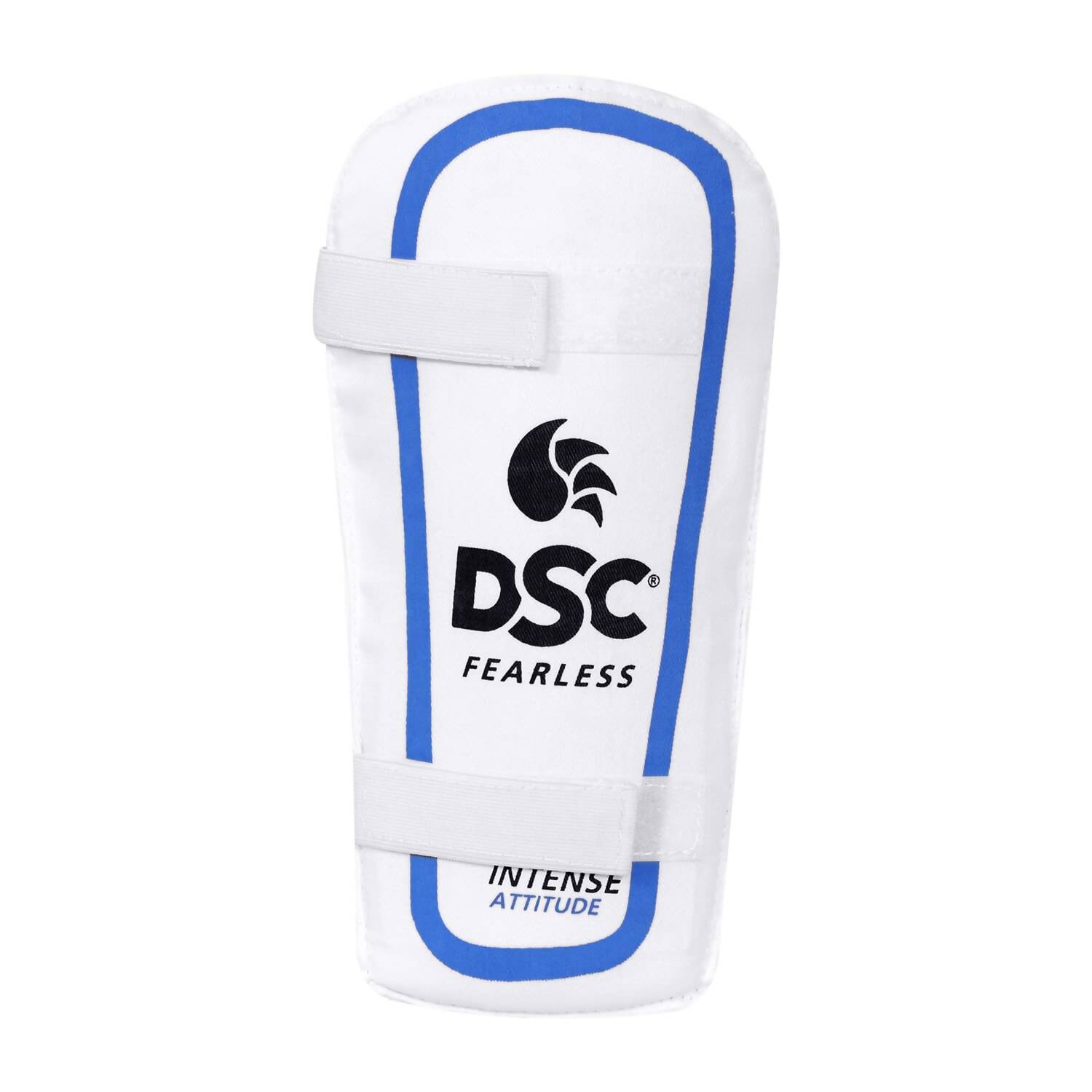 DSC Economy Kashmir Willow Cricket Kit (Size 5) - Swadesiicart