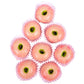 Nathu's Kaju Apple | Swadesiicart