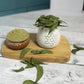 The Wellness Shop Organic Neem Leave Powder | Swadesiicart