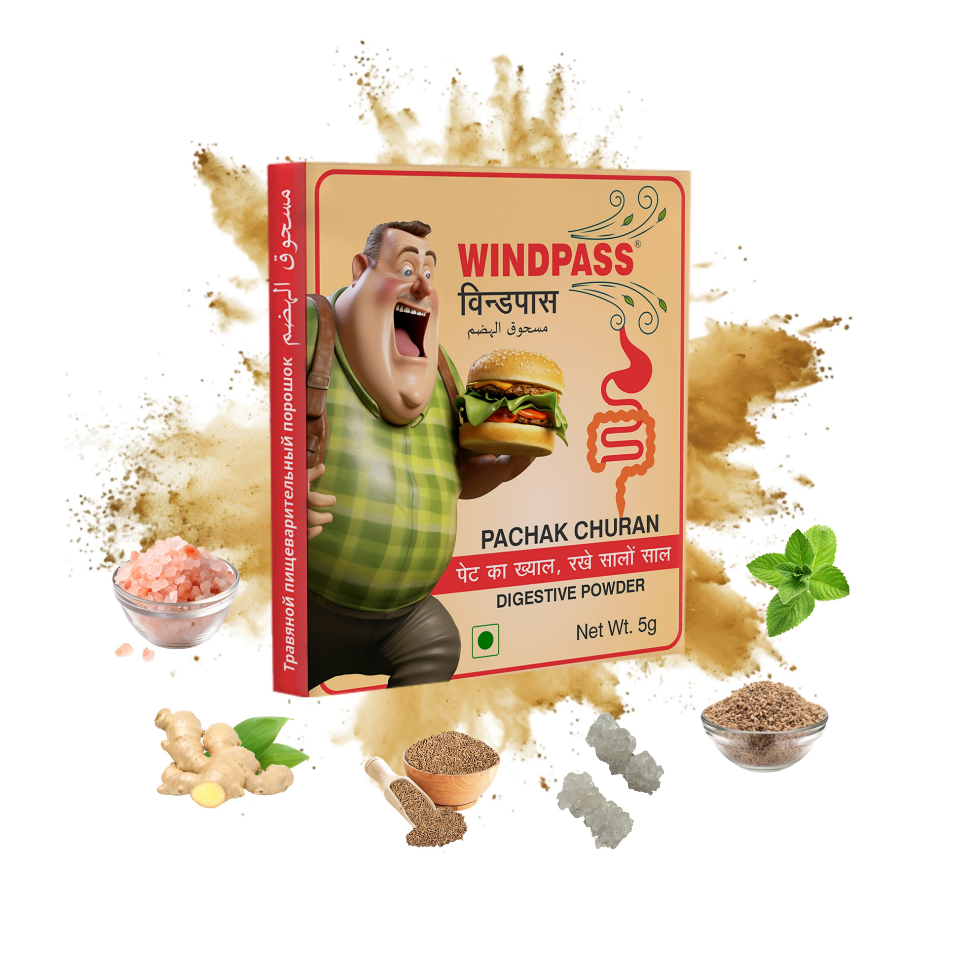 Satya Pharmaceuticals Ayurveda Windpass Pachak Churan Sachet | Swadesiicart