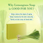 Prakriti Herbal Soap Lemongrass - Swadesiicart