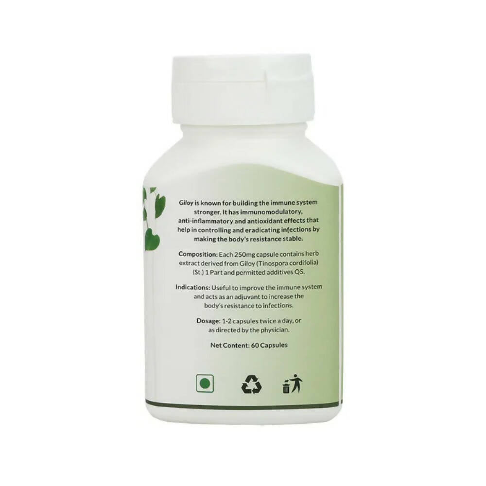 Pravek Giloy Veg Capsules | Swadesiicart