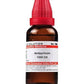 Dr. Willmar Schwabe India Antipyrinum Dilution | Swadesiicart