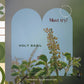 Organic Ayurvedistan Tulsi Powder - Swadesiicart