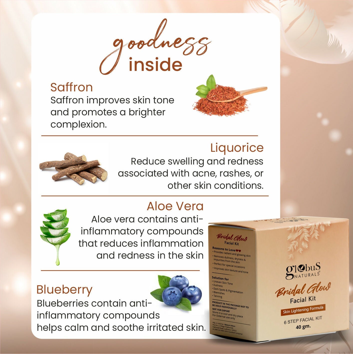 Globus Naturals Illuminating Bridal Glow 6 Step Facial Kit | Swadesiicart