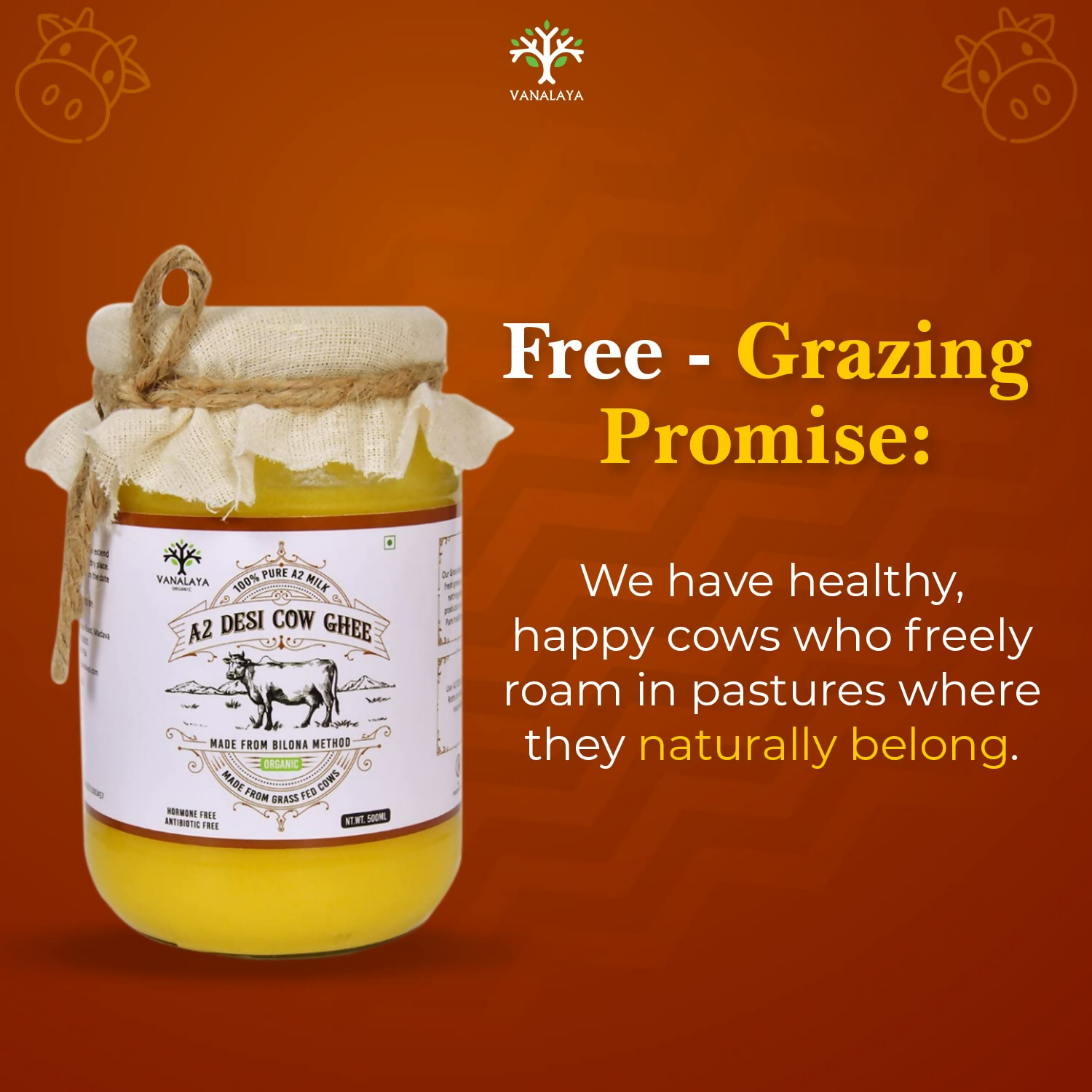 Vanalaya A2 Desi Cow Ghee Prepared By Traditional Bilona Method | Swadesiicart