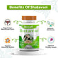 Divya Shree Shatavari Capsules | Swadesiicart