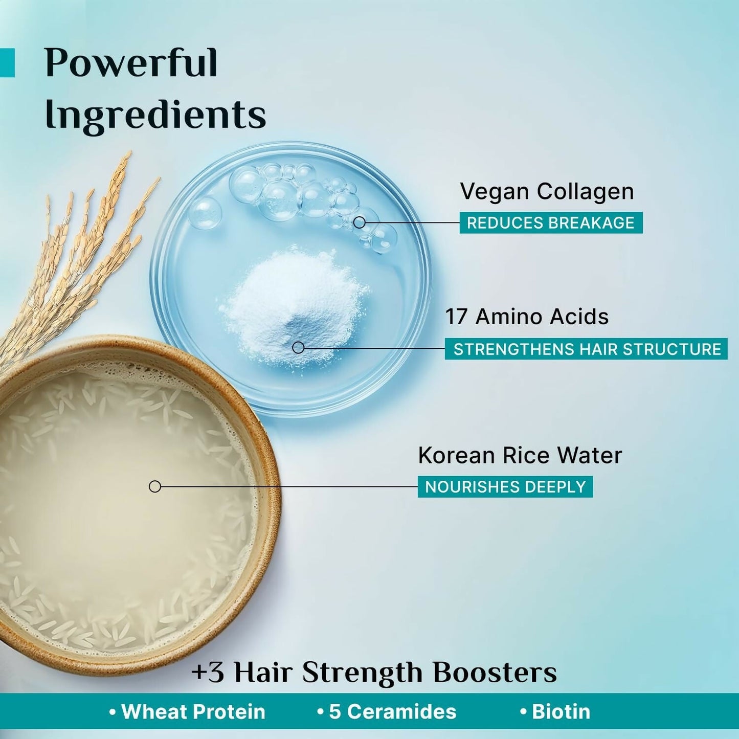 Pilgrim Korean Rice Water & Collagen Advanced Damage Repair Shampoo - Swadesiicart