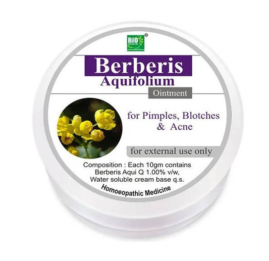 Bio India Homeopathy Berberis Aquifolium Ointment | Swadesiicart