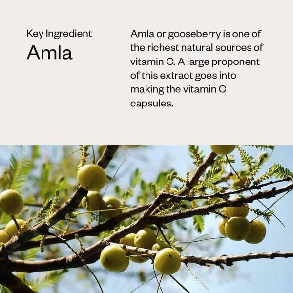 Haeal Vitamin C Capsules | Swadesiicart