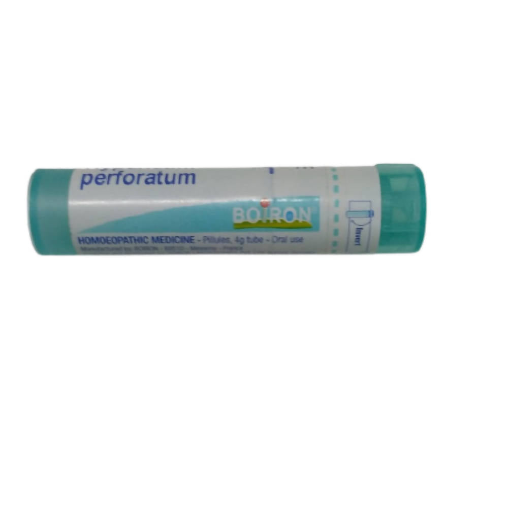 Boiron Homeopathy Hypericum Perforatum 6C | Swadesiicart