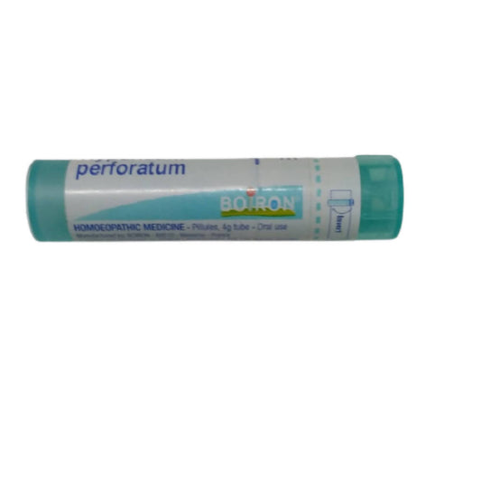 Boiron Homeopathy Hypericum Perforatum 6C | Swadesiicart