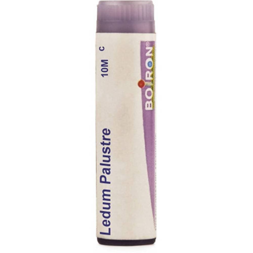 Boiron Homeopathy Ledium Palustre | Swadesiicart