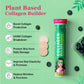 Chicnutrix Plant Based Collagen Builder Tablets for Youthful & Firm Skin -Blueberry Flavor