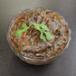 Priya Gongura Onion Pickle | Swadesiicart