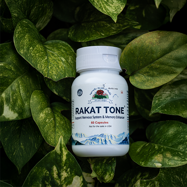 RakatTone – Memory and Nervous System Support