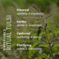 Banyan Botanicals | Ritual Tulsi Gift Box