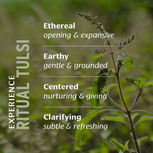 Banyan Botanicals | Ritual Tulsi Gift Box