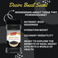 Desire Basil Seeds | Swadesiicart