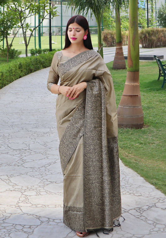 Vishnu Weaves Women's Chiku Handloom Raw Silk Woven Border Saree with Unstitched Blouse - Swadesiicart