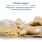 Blue Nectar Ginger Oil Anti Cellulite Body Massage Oil