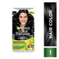 Garnier Color Naturals Creme Riche Hair Color - Shade 1 Natural Black - Swadesiicart