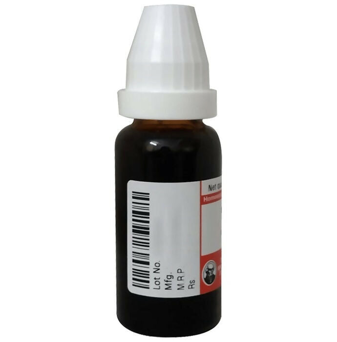 Dr. Willmar Schwabe Germany Phytolacca Dilution - Swadesiicart
