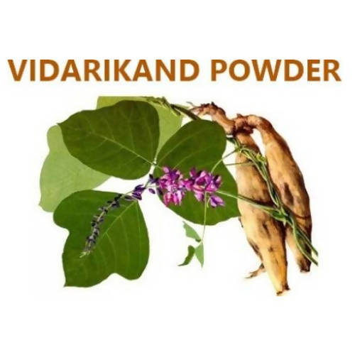 Himalaya Vidarikand Powder | Swadesiicart