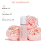 Wishful By Huda Beauty Get Even - Rose Oil - Korean Skincare | Swadesiicart