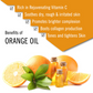 Keya Seth Aromatherapy Skin Defence Orange Body Oil - Swadesiicart