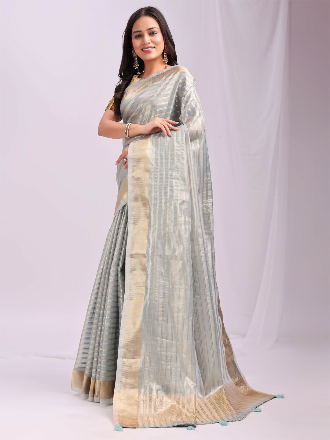 Shree Shyam Fashion Organza Sky Blue Saree