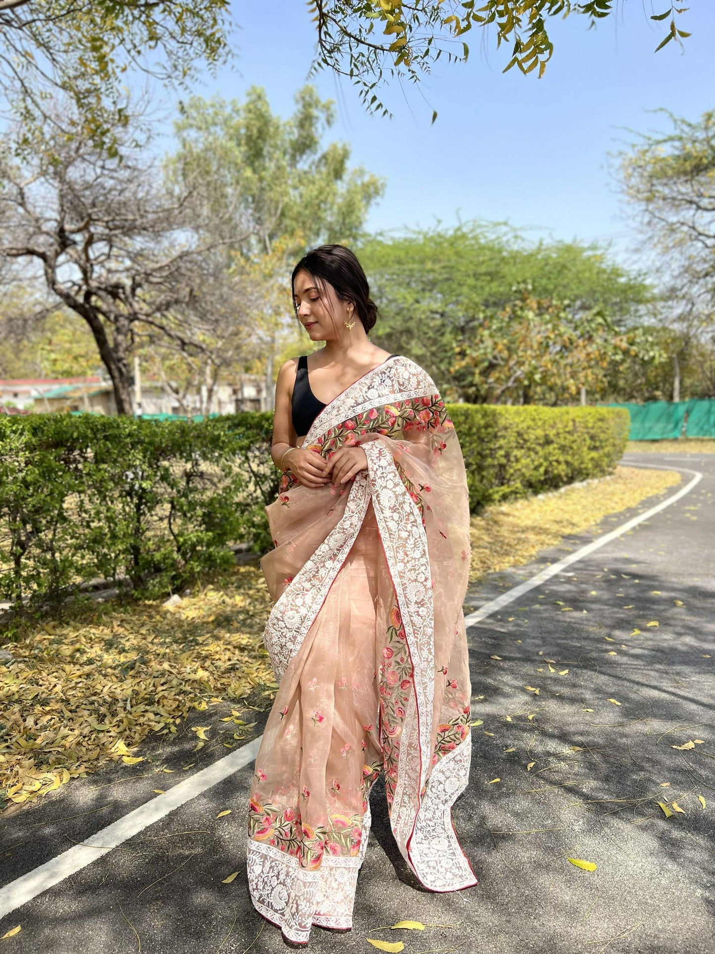 Vamsee Riddhi-Siddhi -1 Brown Organza Saree - Swadesiicart