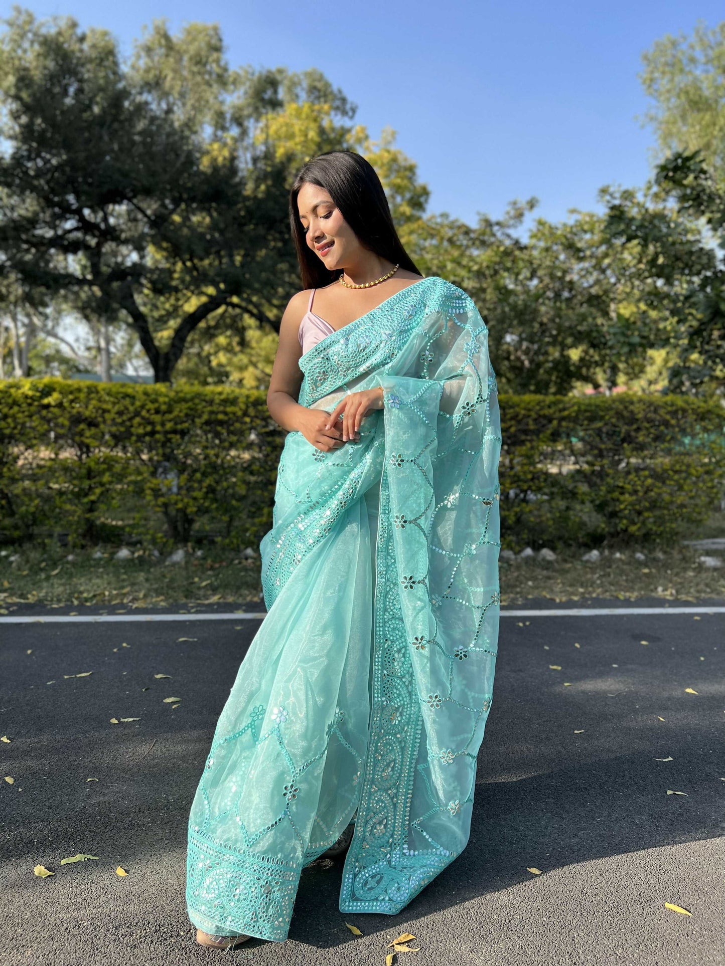 Vamsee Naina Blue Organza Saree - Swadesiicart