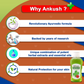 Keya Seth Aromatherapy Medicure Ankush Antiseptic Liquid - Swadesiicart