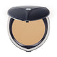 Chambor Ocher RR10 -110 Silver Shadow Compact Powder - Swadesiicart
