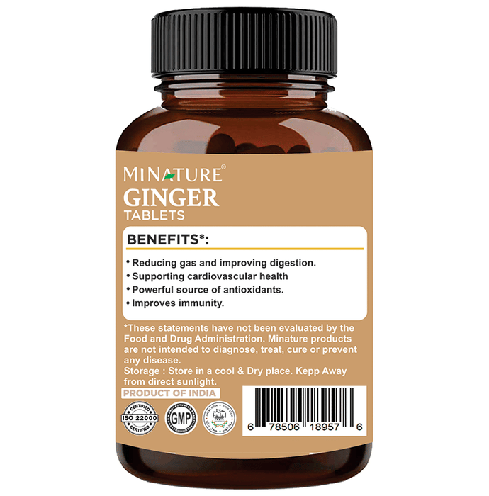 Minature Ginger Tablets | Swadesiicart
