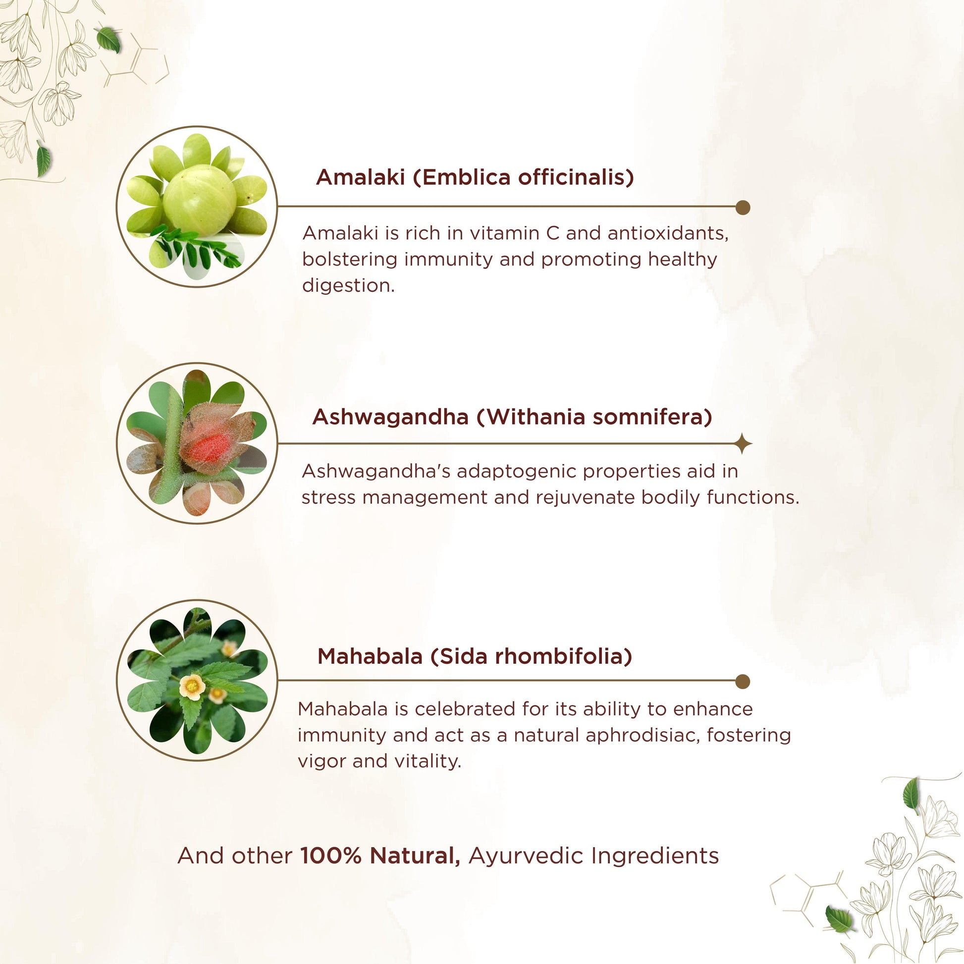 Shreevarma Chyavaan Capsules | Swadesiicart