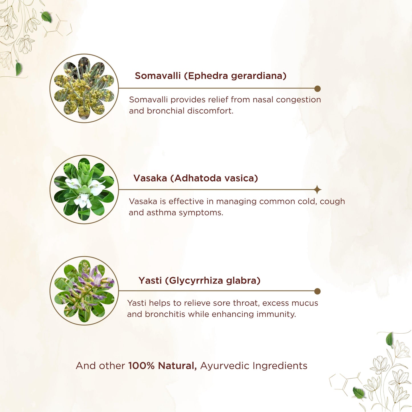 Shreevarma Respokalp Capsules - Swadesiicart