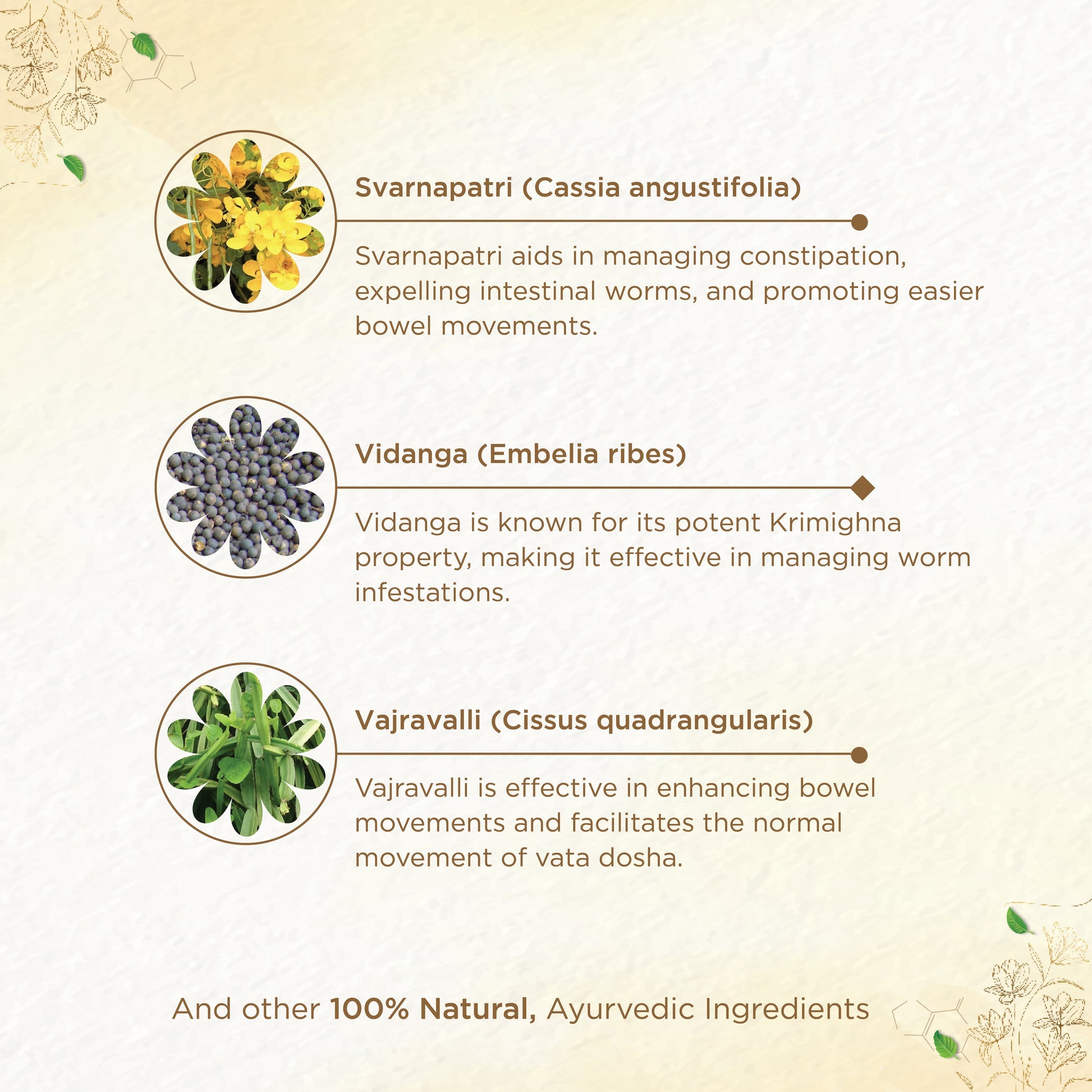 Shreevarma Detox Choornam | Swadesiicart