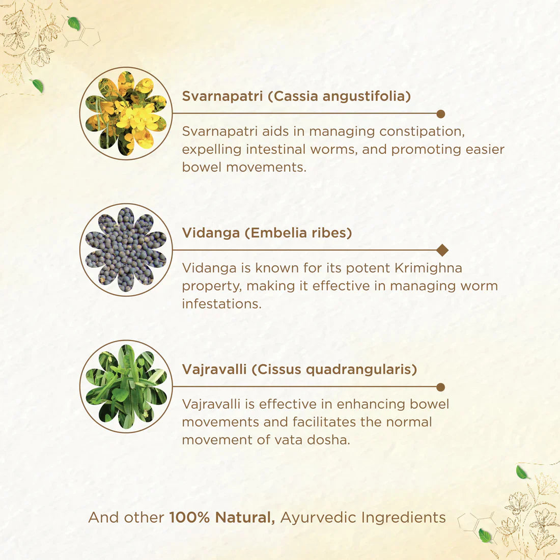 Shreevarma Detox Choornam | Swadesiicart