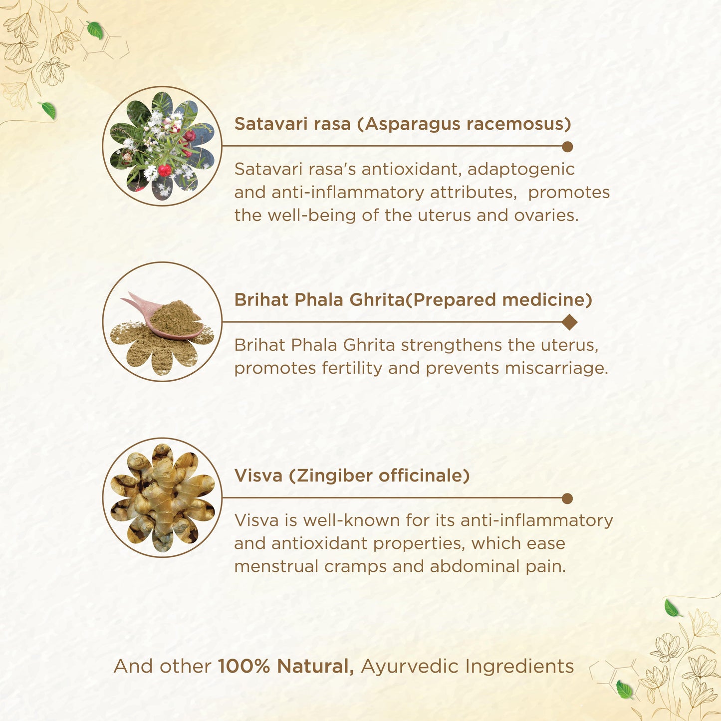 Shreevarma Shree Care Choornam Women’S Wellness | Swadesiicart