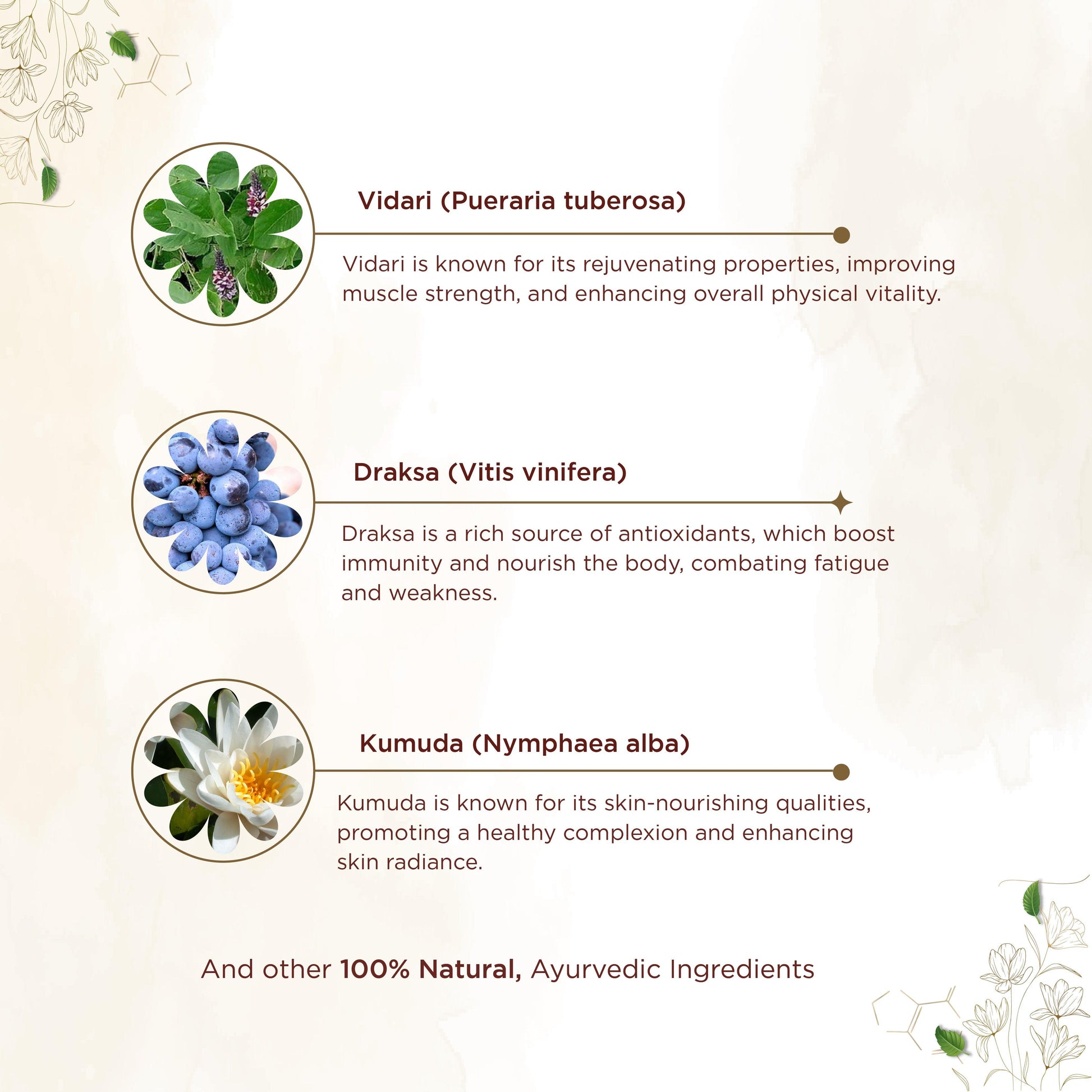 Shreevarma Gvaniya Capsules Men & Women’S Wellness - Swadesiicart