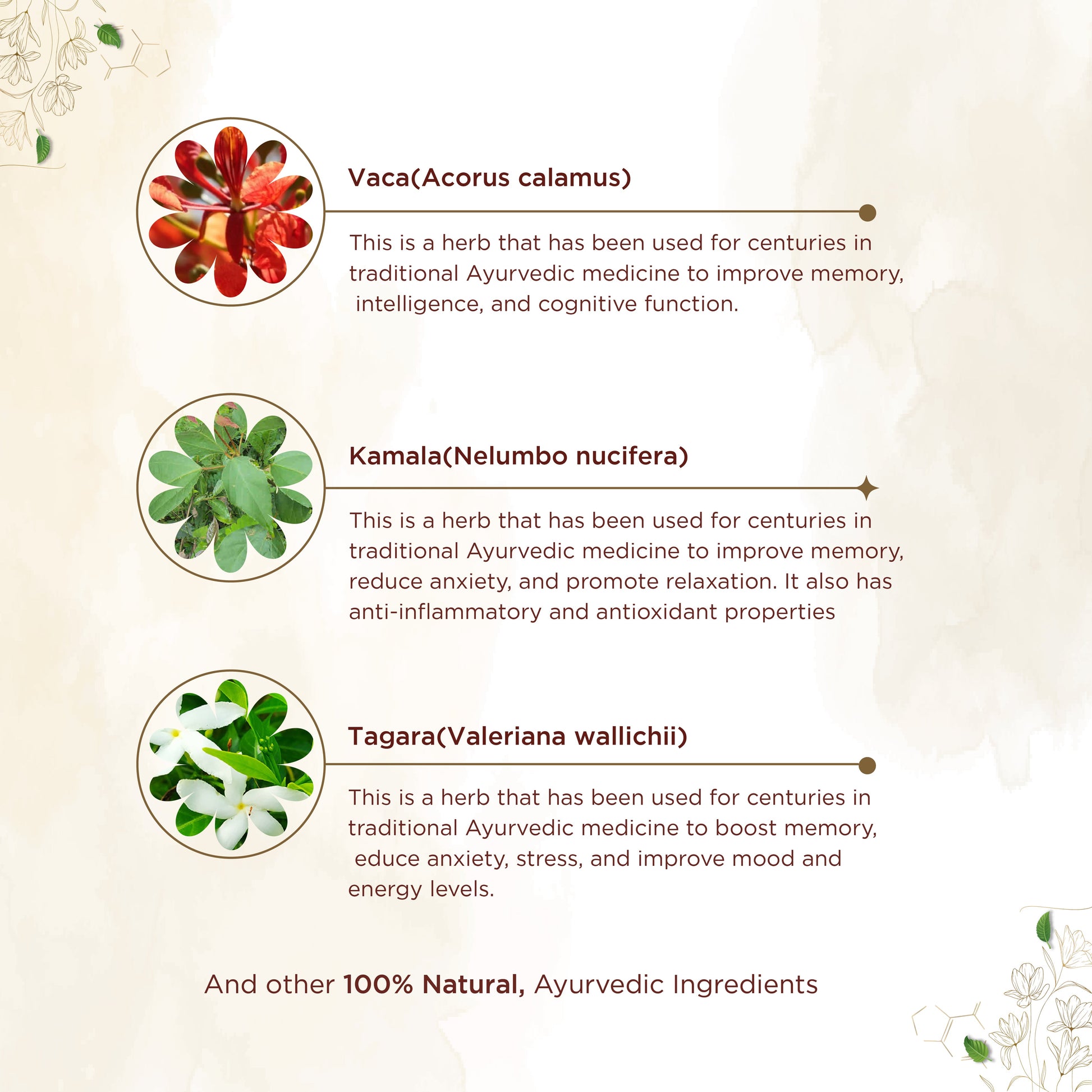 Shreevarma Manasa Capsules - Swadesiicart