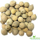 Shudh Online Putrajeevak Beej powder/Putrajivak Seeds powder | Swadesiicart