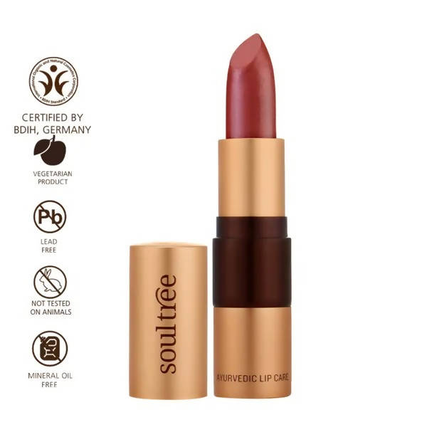 Soultree Ayurvedic Lipstick Wild Honey 811 - Swadesiicart