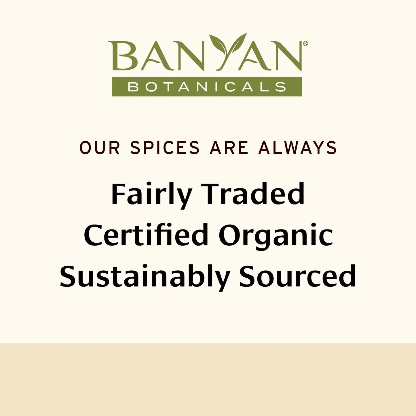 Turmeric powder - Certified Organic