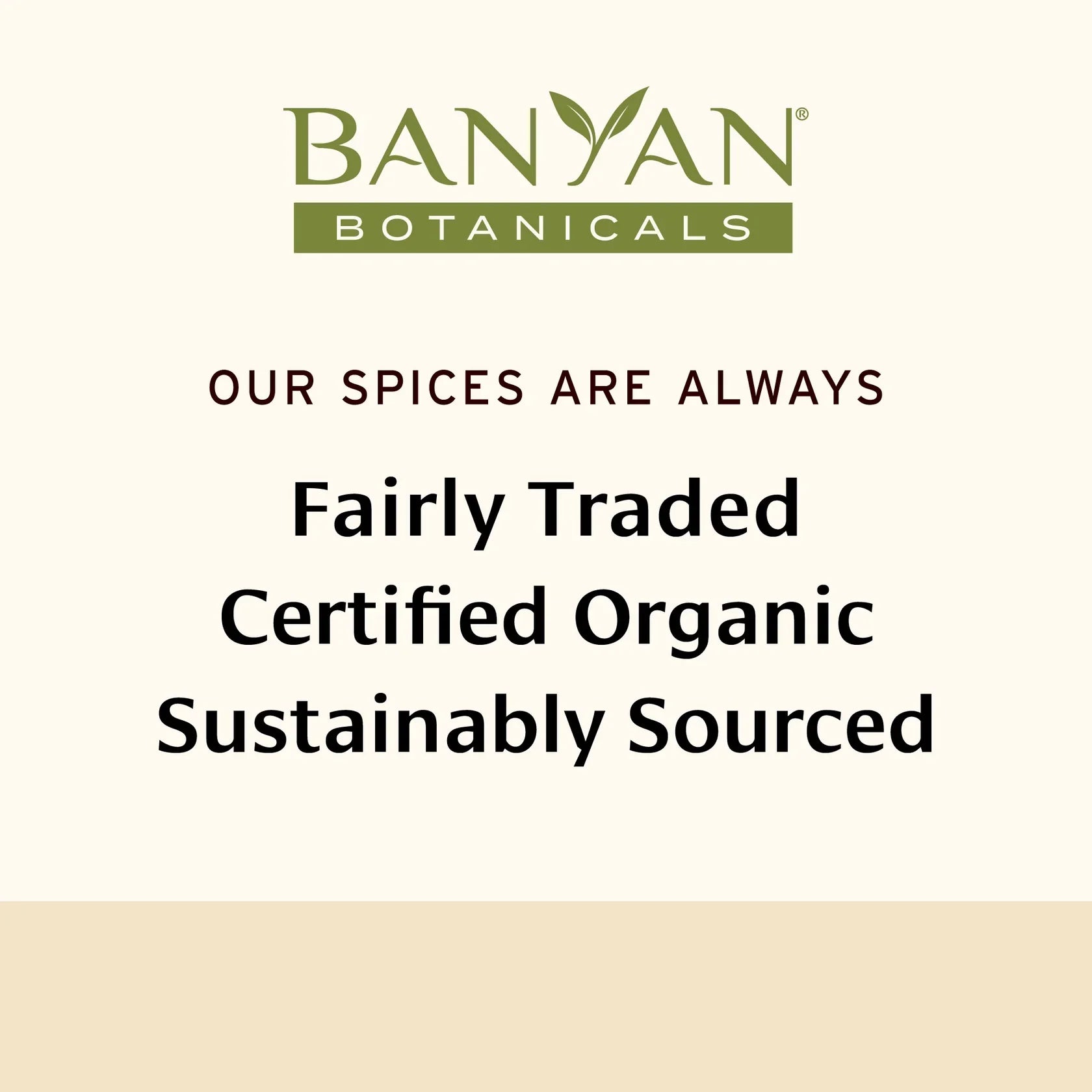Turmeric powder - Certified Organic