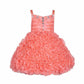 Asmaani Baby Girls Gajri Tissue Net Knee Length Frock ( AS-DRESS-22151)